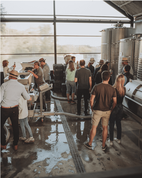 Club Wine