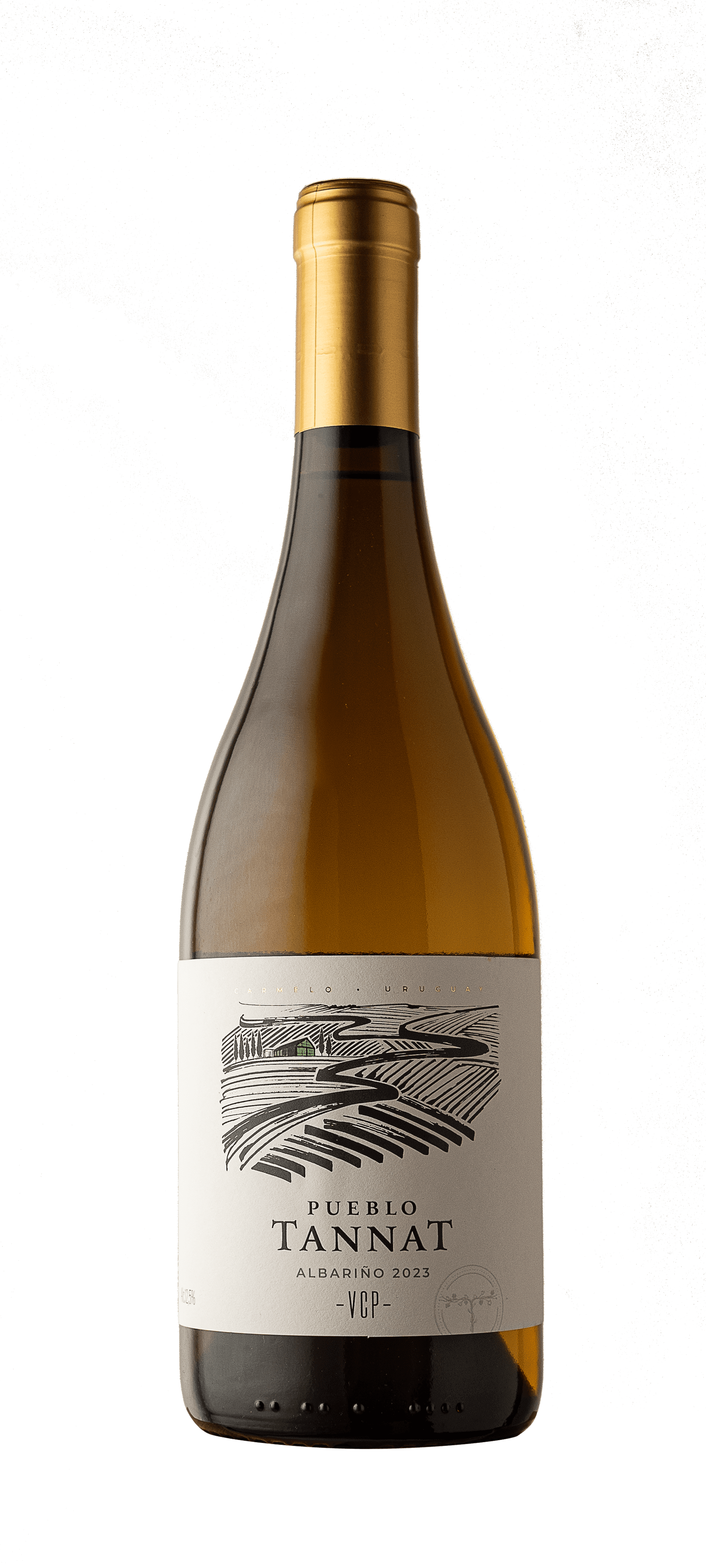 vino_albariño